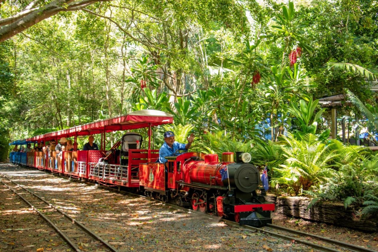 Currumbin Wildlife Sanctuary Gold Coast Ticket - image 6