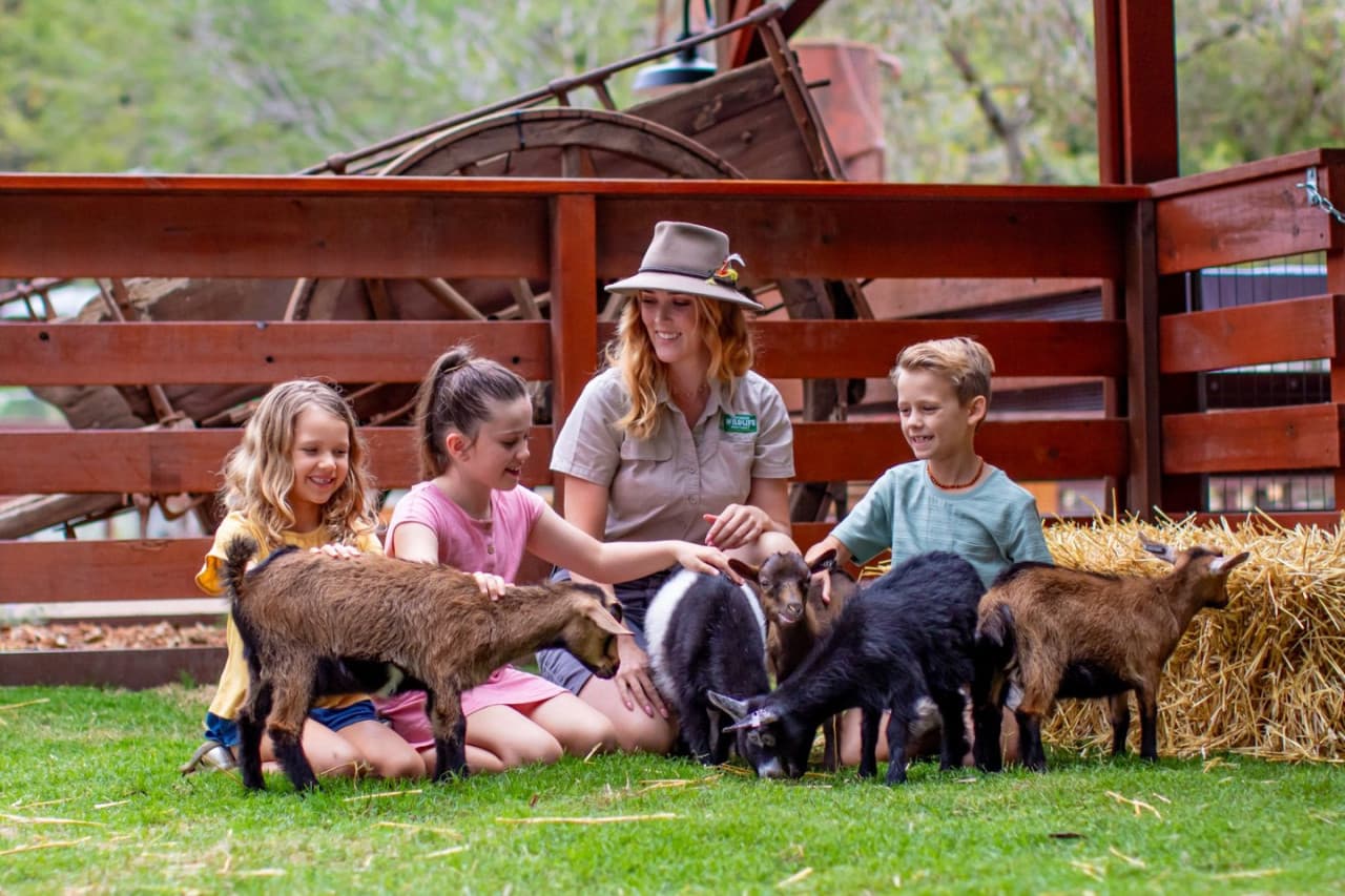 Currumbin Wildlife Sanctuary Gold Coast Ticket - image 3