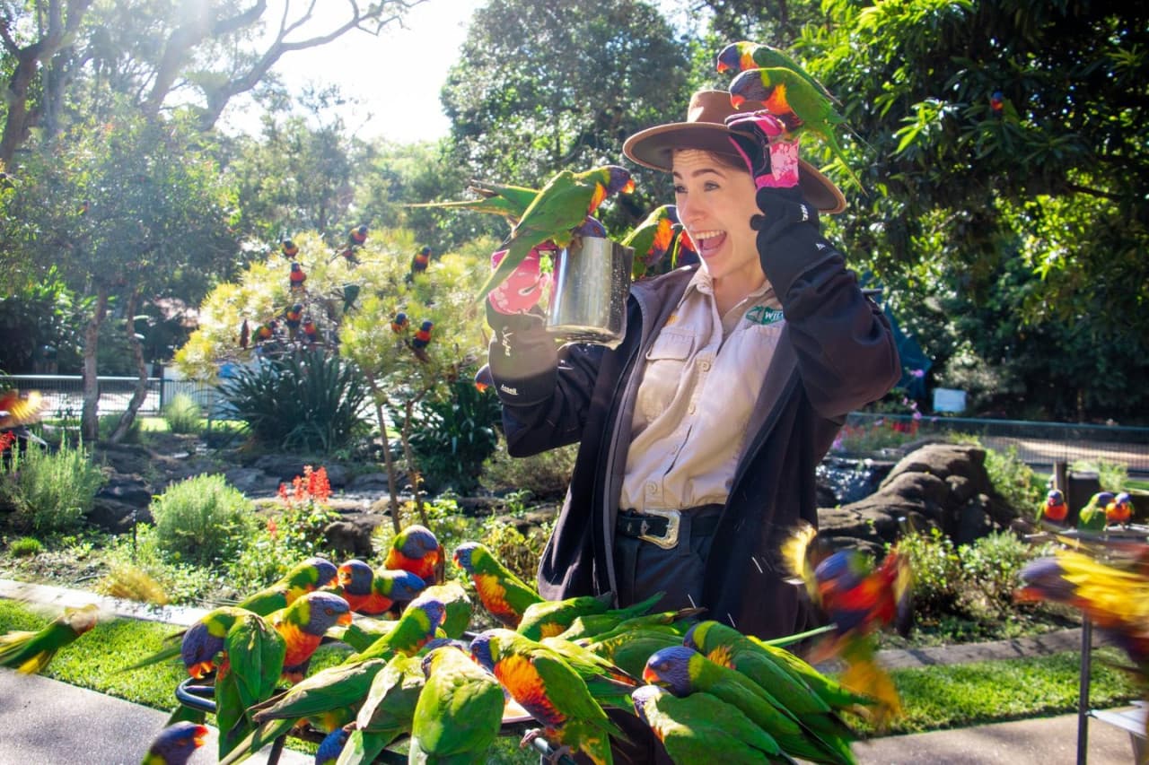 Currumbin Wildlife Sanctuary Gold Coast Ticket - image 2
