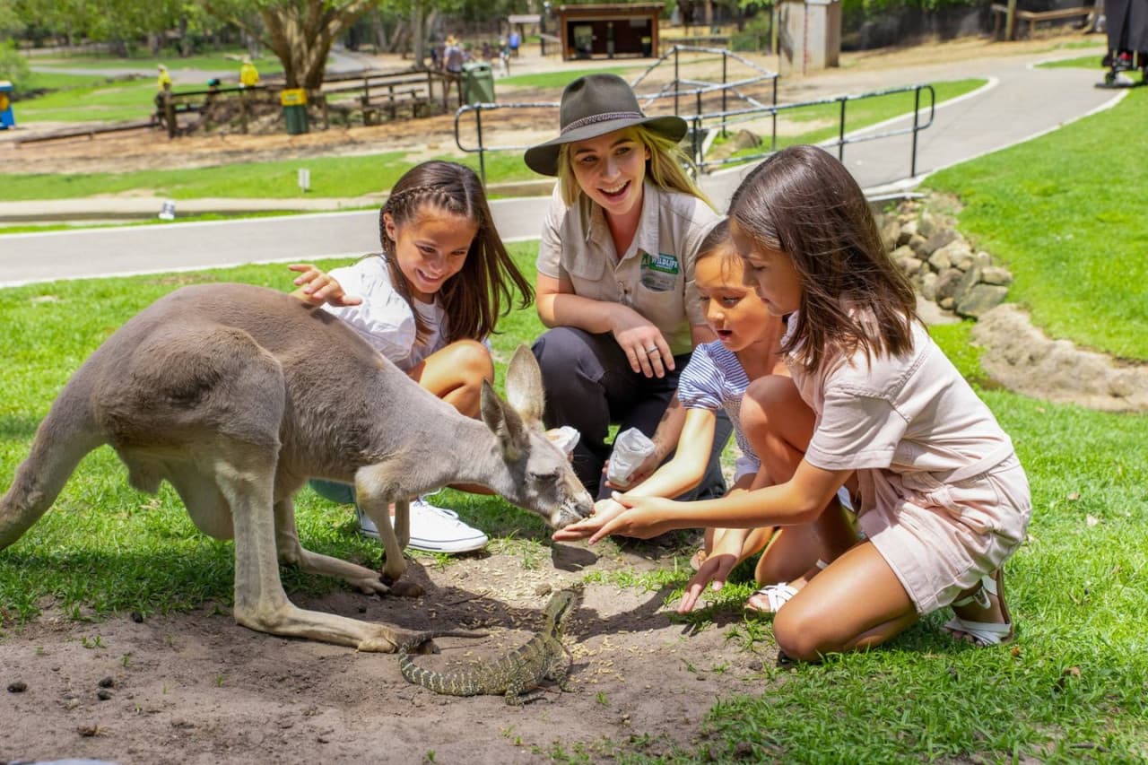 Currumbin Wildlife Sanctuary Gold Coast Ticket - image 10