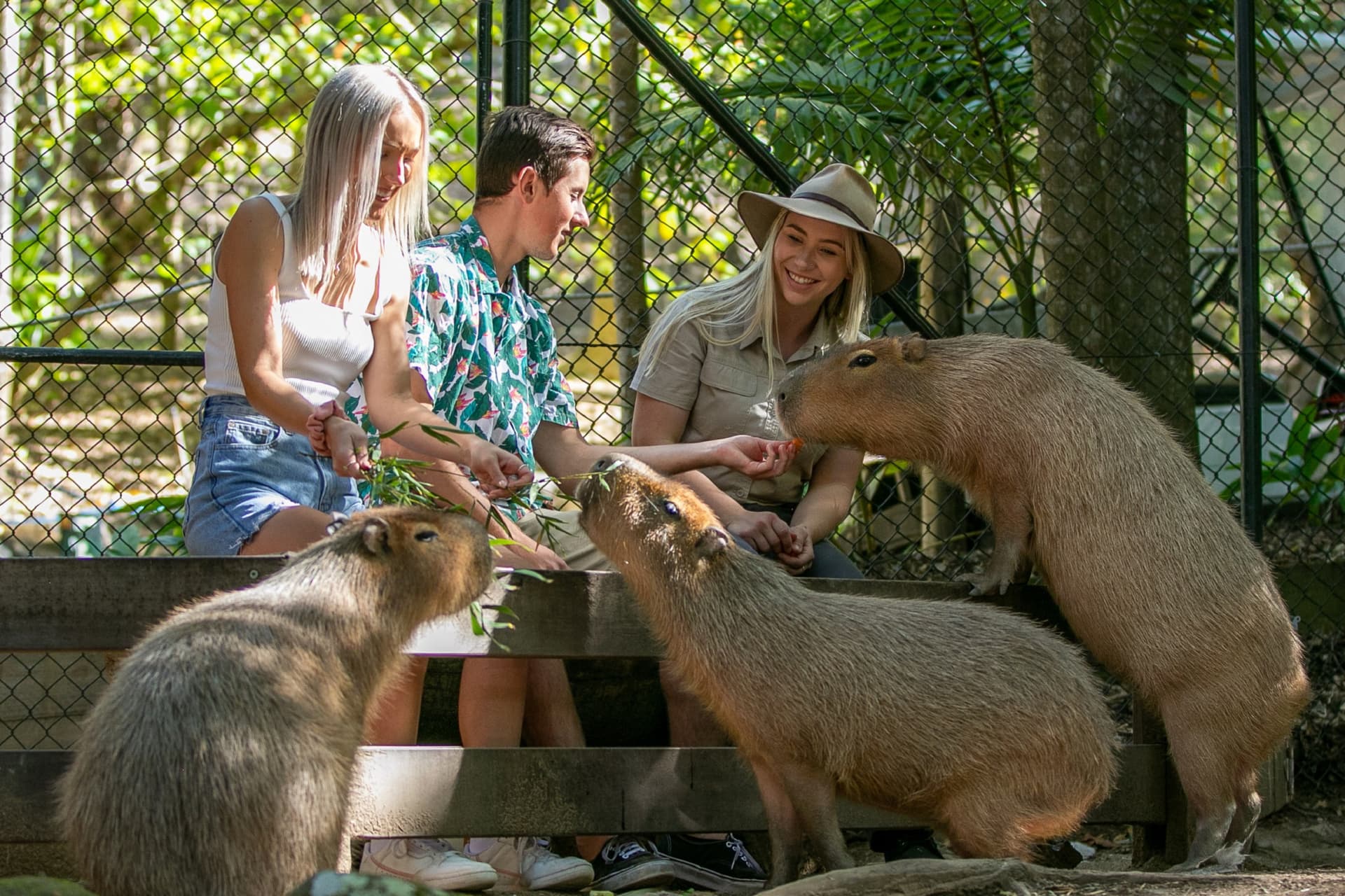 Currumbin Wildlife Sanctuary Gold Coast Ticket - image 5