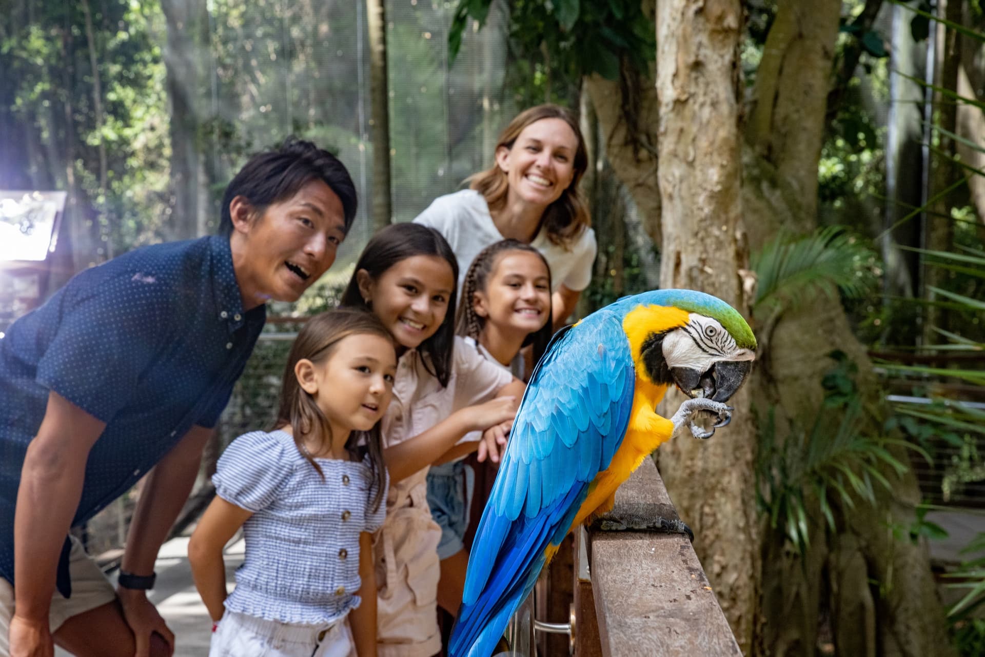 Currumbin Wildlife Sanctuary Gold Coast Ticket - image 7