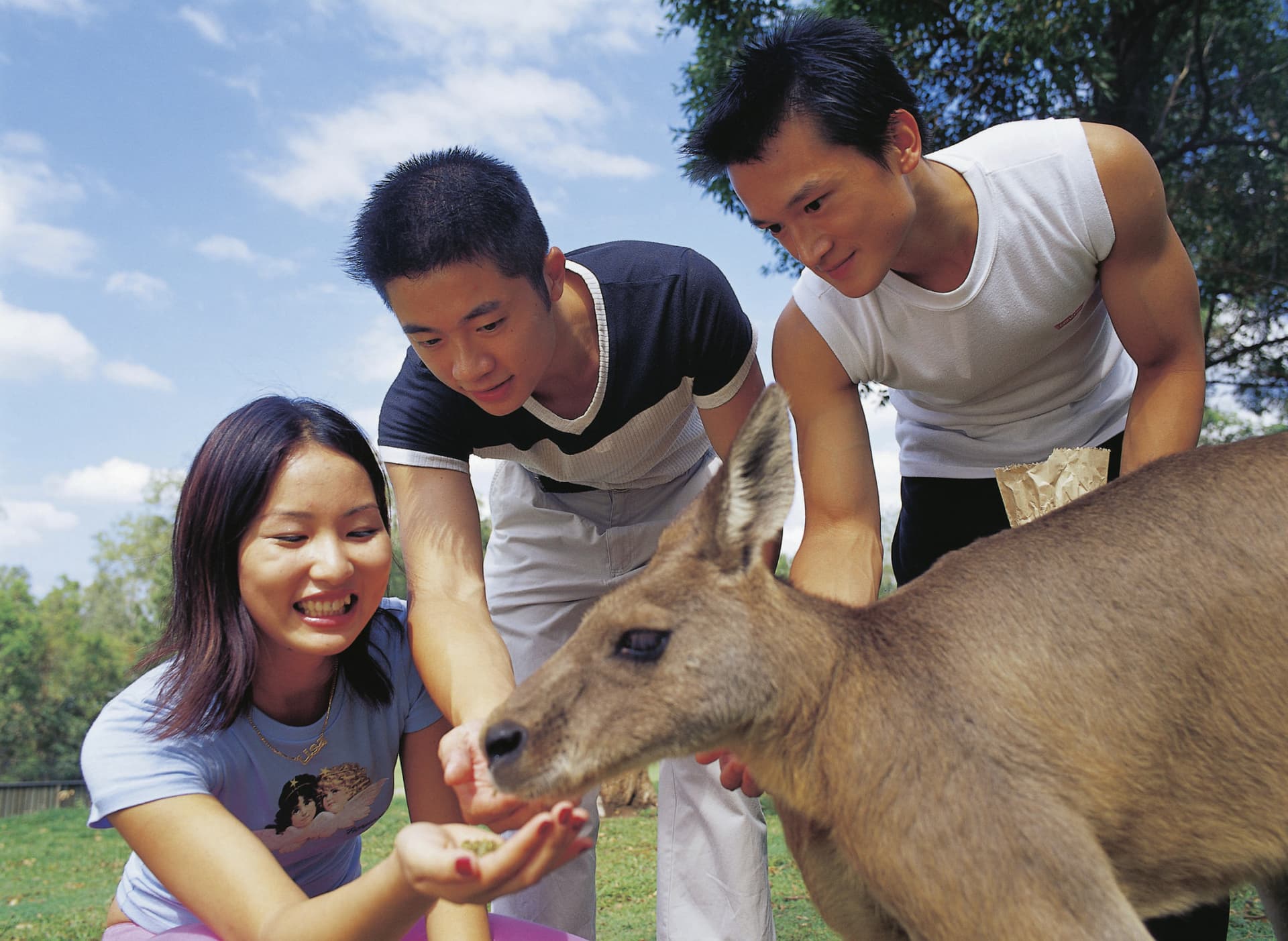Currumbin Wildlife Sanctuary Gold Coast Ticket - main image